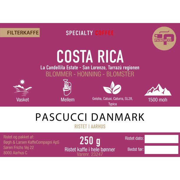 Costa Rica Specialty Coffee - La Candelilla Estate